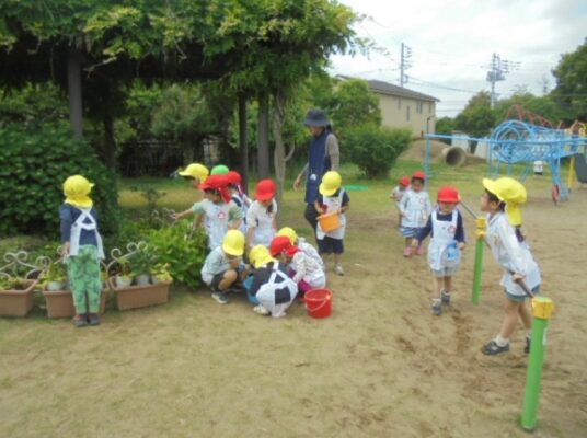 今日は5枚の写真