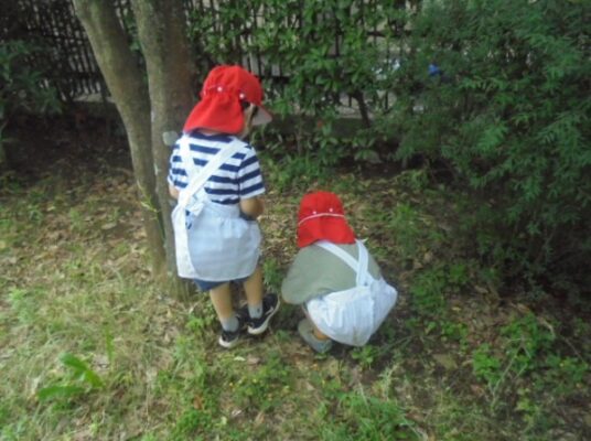 年少　劇遊び「大きなかぶ」