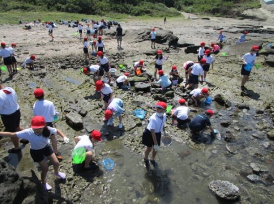 2023自然教室２日目　４年生　館山から海を越えて