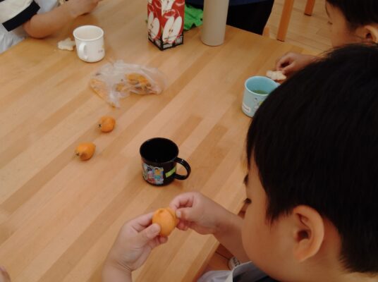 年長がビワを食べました