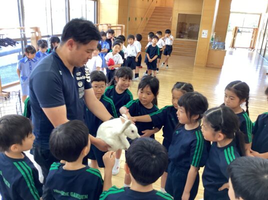 【1年生 生活科】ウサギとなかよくなろう