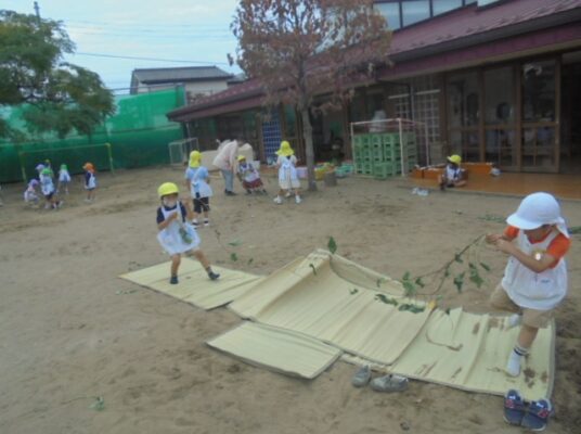 10月17日、おイモのつる